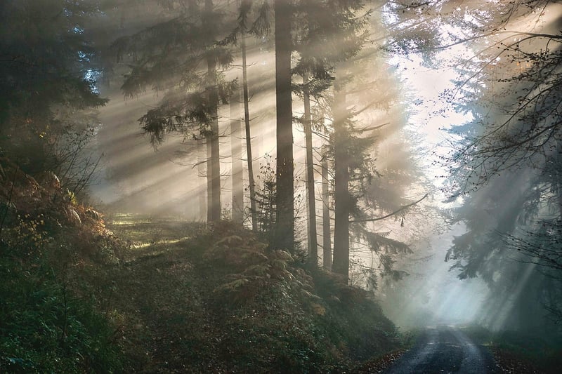 Mystical Ambience
